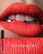 Load image into Gallery viewer, Smudge Proof Lipstick