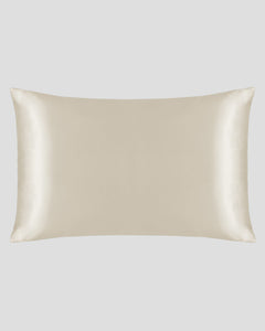 22-Momme 100% Pure Mulberry Silk Pillowcase